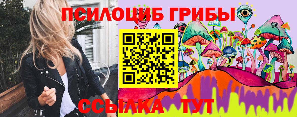 закладки  Вход с VPN  Азнакаево  Псилоцибиновые грибы прущие грибы  Псилоцибиновые грибы Cubensis 